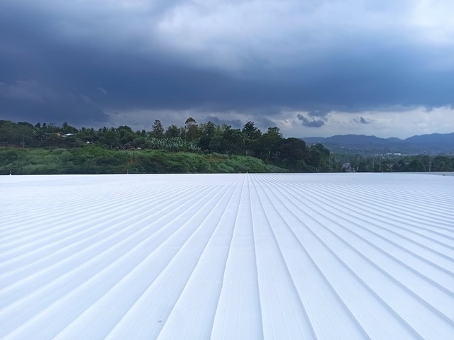 ROSH Roof Restoration Featured Project - Fast Services Corporation